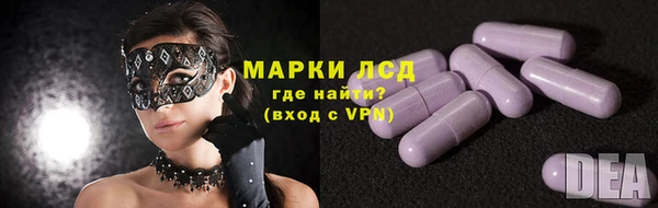PSILOCYBIN Аркадак