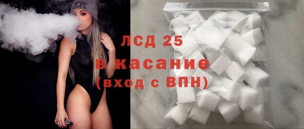 PSILOCYBIN Аркадак