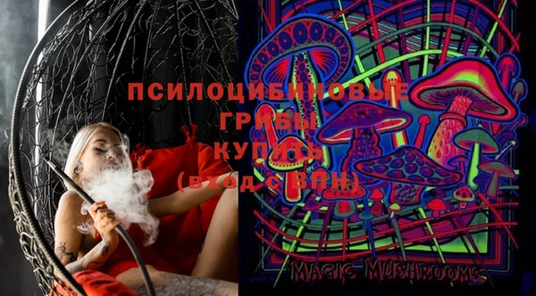PSILOCYBIN Аркадак